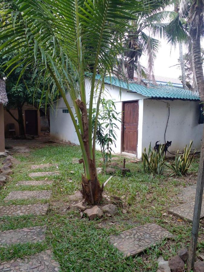 The Plantation Vandrehjem Kampot Eksteriør billede